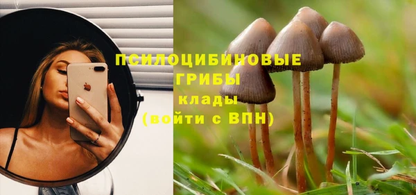 трава Михайловск
